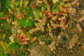 Underwater